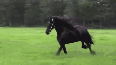 c12cfa2864bb083d911e13aa66e93485.gif