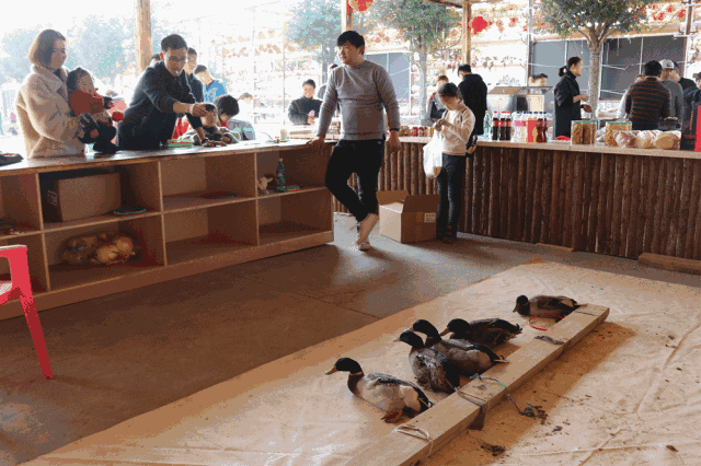 fad8478b39058268421a1ab93803adb0.gif