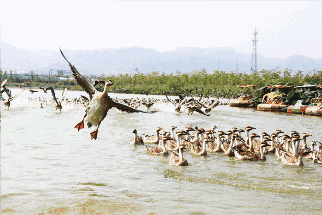 40c46b73d0c9aae990109930446a3cda.gif